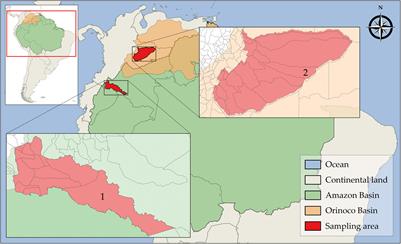 Molecular Evidence of Orthomyxovirus Presence in Colombian Neotropical Bats